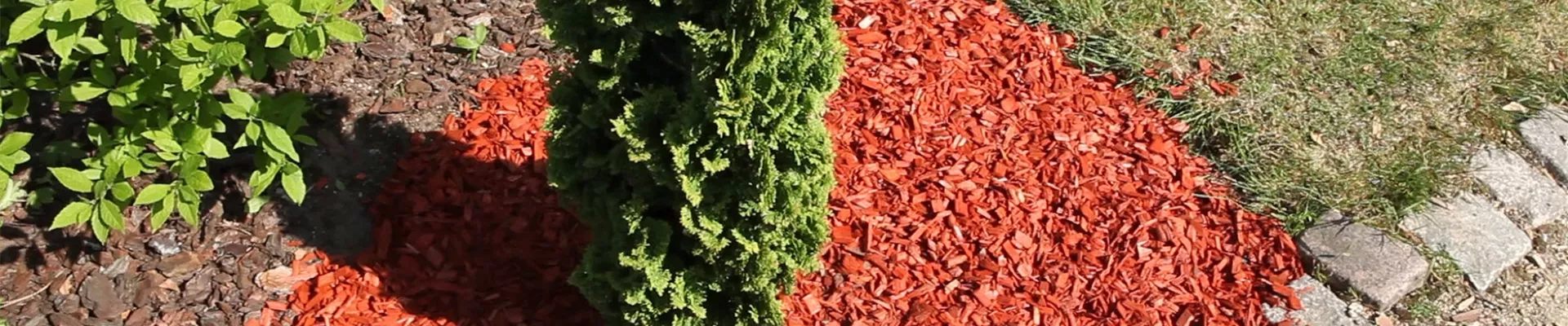 Mulch - Einsatz im Garten (thumbnail) Mulch - Einsatz im Garten (thumbnail)