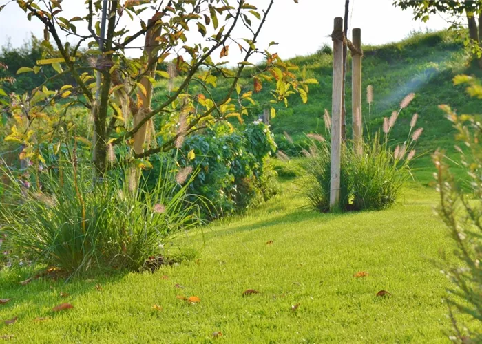 Gartenpflege Gartenpflege