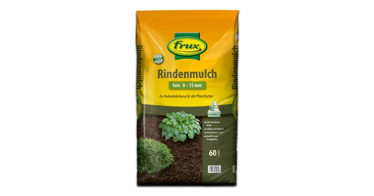 hochstamm spalier eibe Heckenpflanzen Heckenpflanzen online kaufen aus Heckenpflanze Taxus media  'Straight Hedge' (Spalier-Eibe) – Mitteldeutsche-Baumschulen main image 1