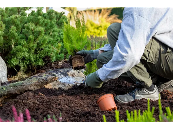 Gärtner und Garten Landschafts Gärtner / MWD