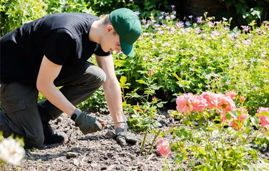 Die Grundausstattung fürs Gärtnern für Garten-Neulinge Die Grundausstattung fürs Gärtnern für Garten-Neulinge