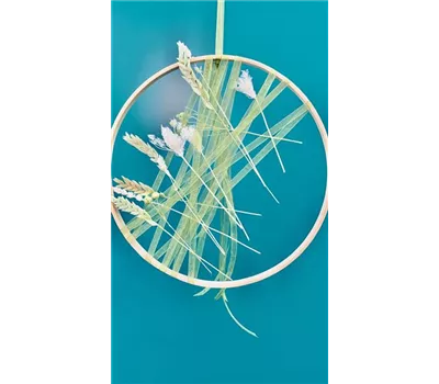 Trockenblumen, Loops, Trockenkranz 