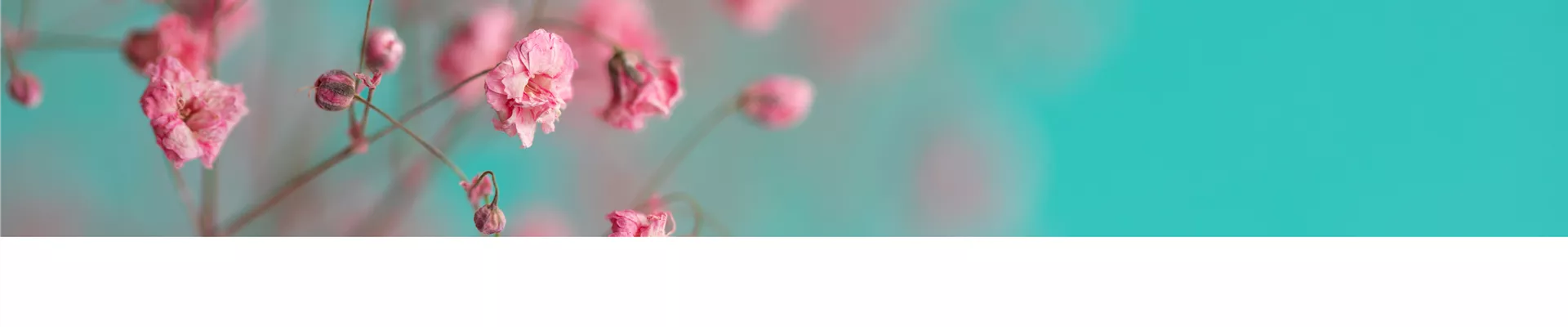 shutterstock_1119595469