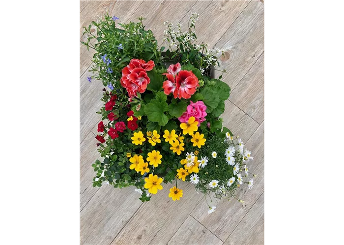 Frühlingskiste "Erling"