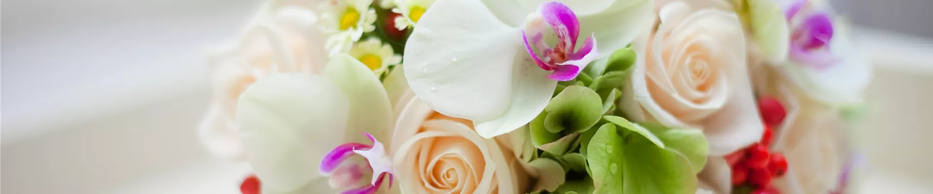 shutterstock_102419350