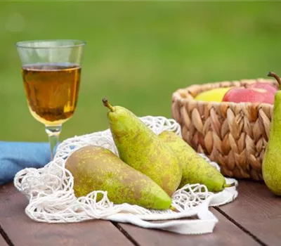 Birnen aus dem eigenen Garten genießen