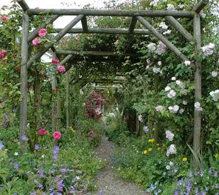 Die richtige Wahl von Rankhilfen für Kletterpflanzen