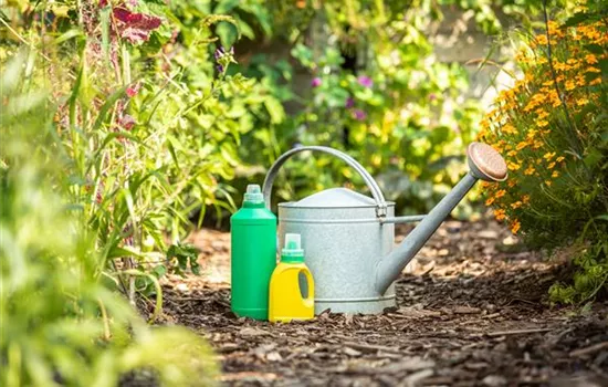 Pflanzen düngen für reiche Ernte und Blütenpracht Pflanzen düngen für reiche Ernte und Blütenpracht
