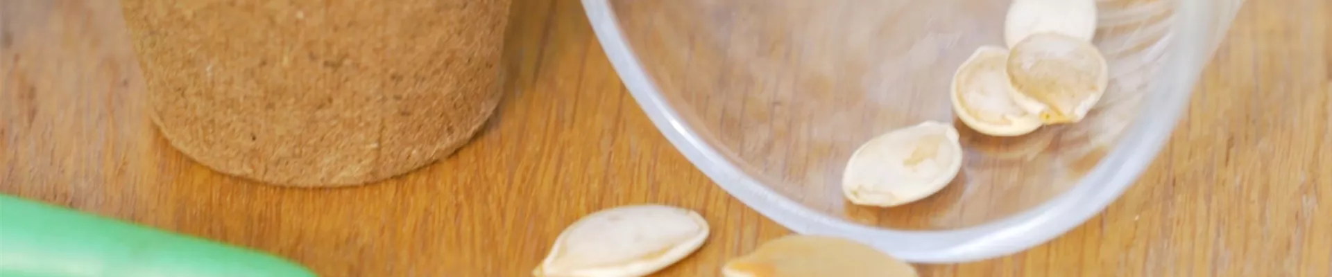 Speisekürbis - Aussaat (thumbnail)