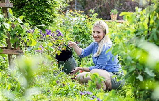 Gartenarbeit im Sommer – Damit’s nicht zu heiß wird!