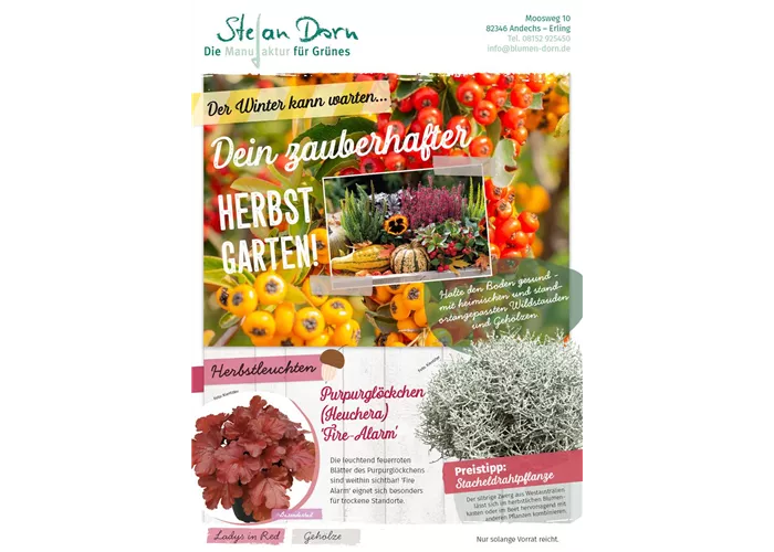 Herbstliches 