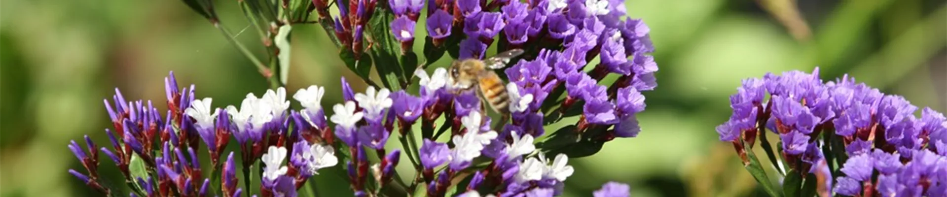 2014b3afd6167bb8af364ee1759ac068